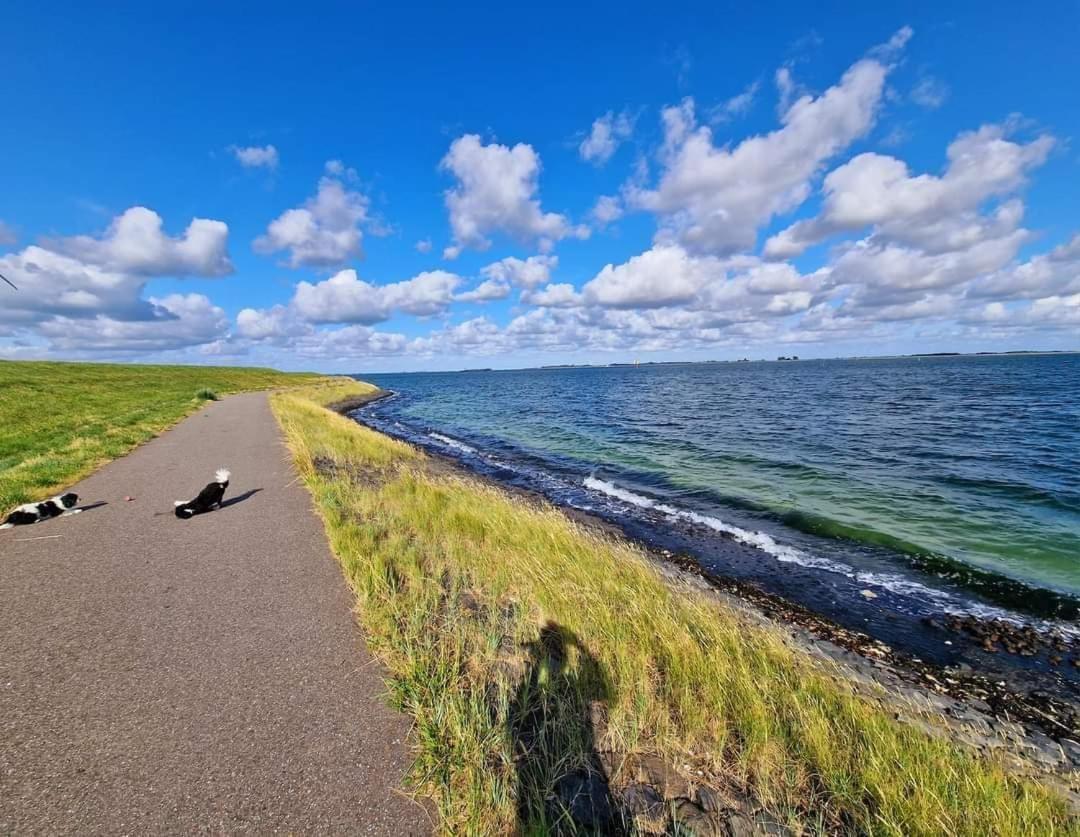 De Corner Van Zeeland Met Jacuzzi Sint-Annaland Exterior foto